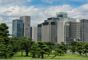 九润公寓，城市绿洲中的现代生活典范
