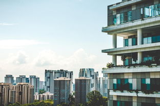 都江堰租房市场分析，机遇与挑战并存