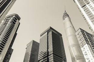成都市房地产管理局，引领房产市场，保障市民安居乐业