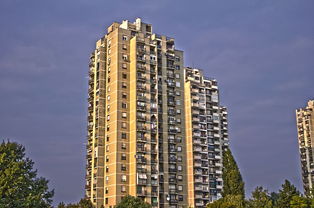 嵩县房屋出租市场分析及投资指南