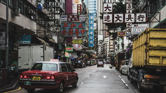 社旗房屋出租市场，机遇与挑战并存