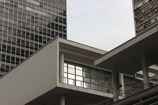 白云房屋出租，探索广州白云区的租房市场与生活指南