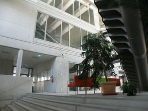 不锈钢栏杆，现代建筑中的安全与美观守护者