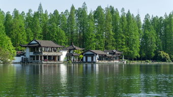 漳平房屋出租，探索理想居住地，享受舒适生活