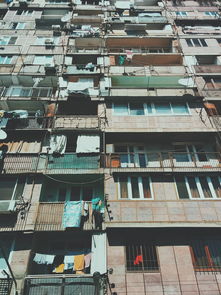 平罗租房，探索经济实惠的居住选择