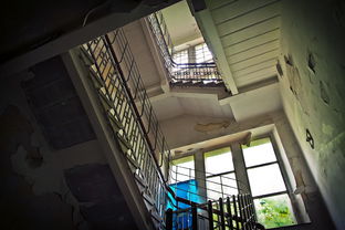 古冶房屋出租，探索理想居住空间的无限可能