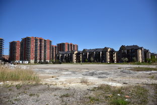 余杭房屋出租，探索杭州新兴区域的居住魅力