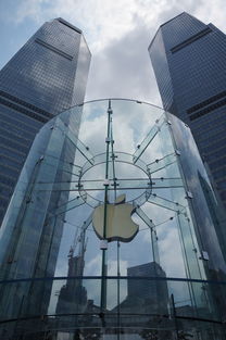型材自动门，现代建筑的智能守护者