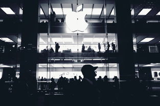 米尼照明，照亮房产市场的创新之光