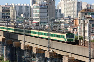 江燕路二手房市场分析，投资与自住的双重选择