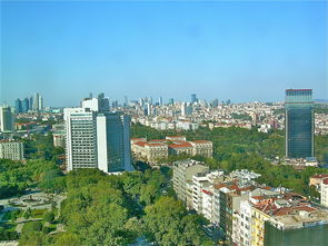 太清路租房，探索城市绿洲中的温馨家园