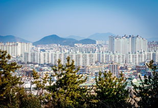 新城尚座花园，城市绿洲中的现代居住典范