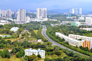 东苑二手房市场分析，投资与自住的双重选择